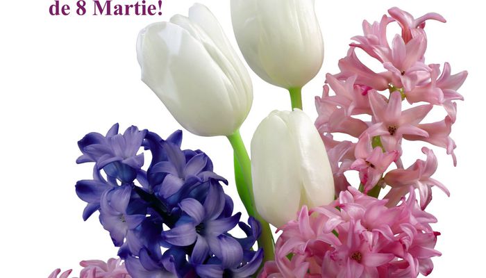 Mesaje De 8 Martie Cele Mai Frumoase Felicitari De Ziua Mamei 2018 Sincere felicitări cu ocazia zilei de naștere! frumoase felicitari de ziua mamei