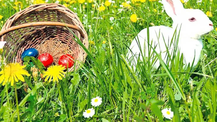 Vremea de Florii și Paște, ANM a schimbat prognoza meteo. De la frig la temperaturi de 20 de grade și din nou ploi