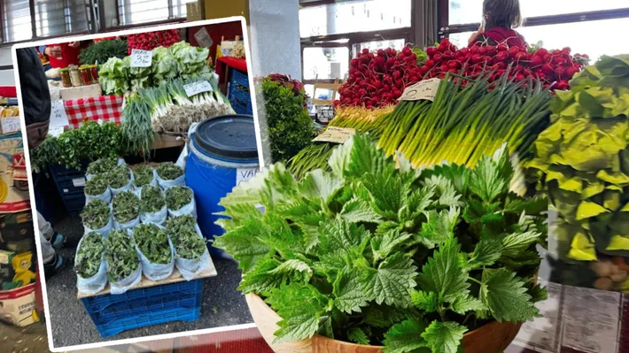 Urzicile fac minuni pentru organism. Cum se prepară ceaiul și la ce poate fi folosit