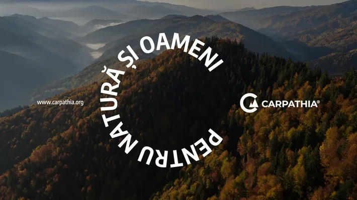 Drept la replică: Fundația Conservation Carpathia NU are nicio implicaţie în problemele de la Praid!