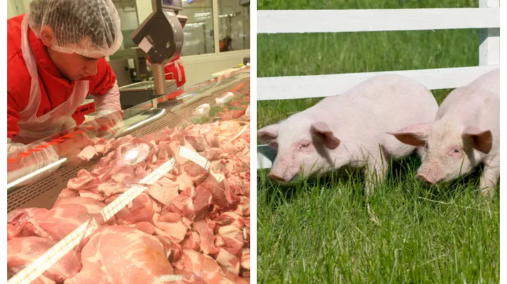 Cât costă porcul de Crăciun la Mega Image, Penny sau LIDL și cât costă direct de la țărani. De unde e mai avantajos să cumperi