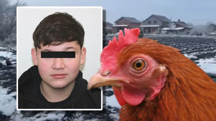 Cum au încercat cei doi băieți din Timiş să acopere că l-au omorât pe colegul lor Mario: Au taiat o găină să justifice sângele din fața casei, iar a doua zi au mers la școală ca și cum nimic nu s-a întâmplat