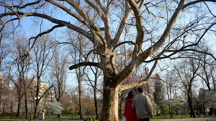 Temperaturi de primăvară în weekend, dar și alerte cod galben de vânt. Prognoza meteo actualizată