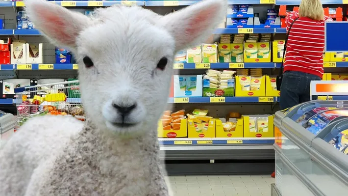 Lidl aduce mielul românesc la galantar înainte de Paşte. Ce chilipiruri sunt în acest weekend şi surpriza pregătită pentru cei nevoiaşi