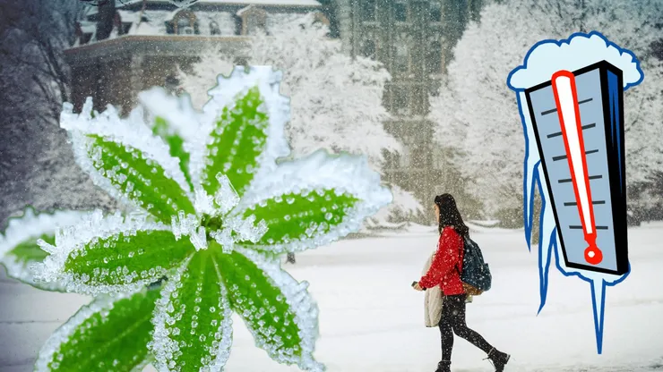 Ca-n Siberia! Temperaturi resimţite de aproape -40 de grade Celsius, iar meteorologii anunţă un nou val polar