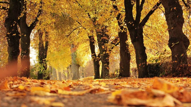 Prognoza meteo lunară. Vara se prelungeşte până în octombrie. Cum se anunţă iarna 2026–2027 în România