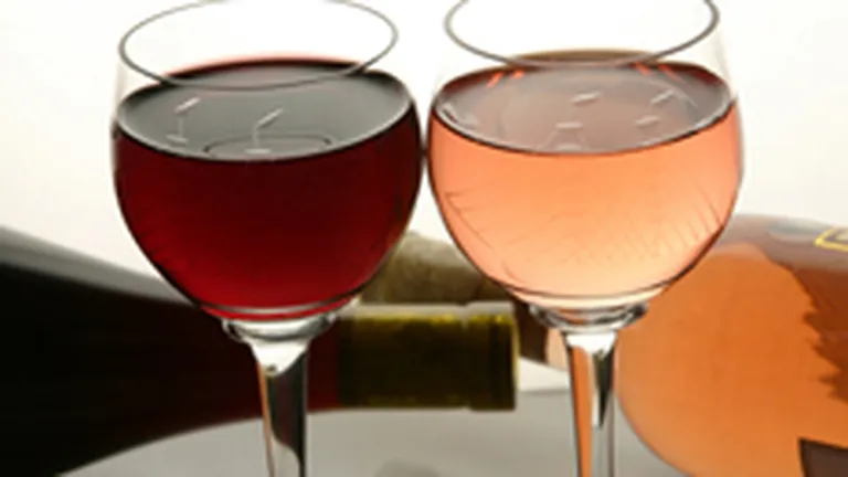Aderarea la piata europeana a vinului va orienta consumatorii pe nise