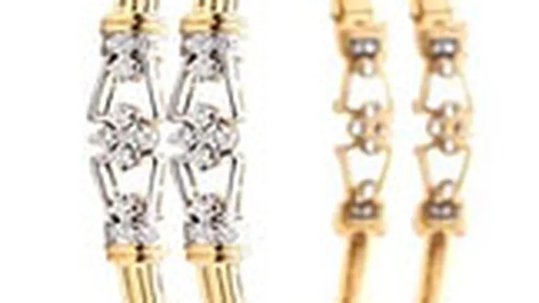 Producatorul de ceasuri si bijuterii Royal Caro estimeaza pe 2007 afaceri de 7 mil. euro