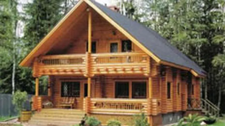 Producatorul de case de lemn Ecomed vizeaza afaceri de 2 mil. euro in 2008