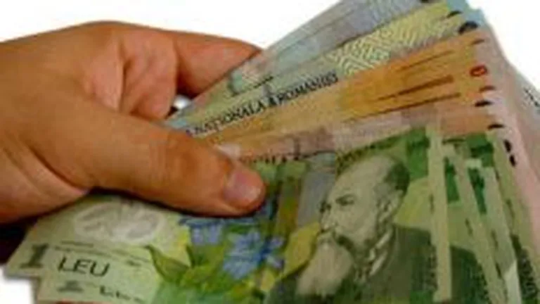 Broker Cluj estimeaza o scadere de 42,6% a profitului brut, in 2008