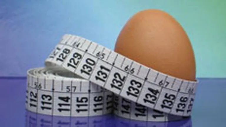 Veste buna pentru agricultura: Exporturile de oua depasesc importurile