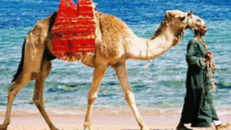 Charterul Bucuresti - Sharm El Sheik va atrage 2.800 de turisti romani in vara