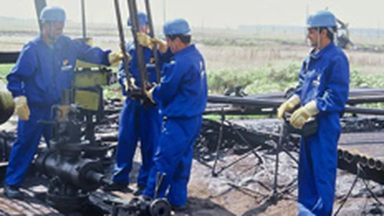 24 de companii, interesate sa exploreze 14 perimetre petroliere din Romania
