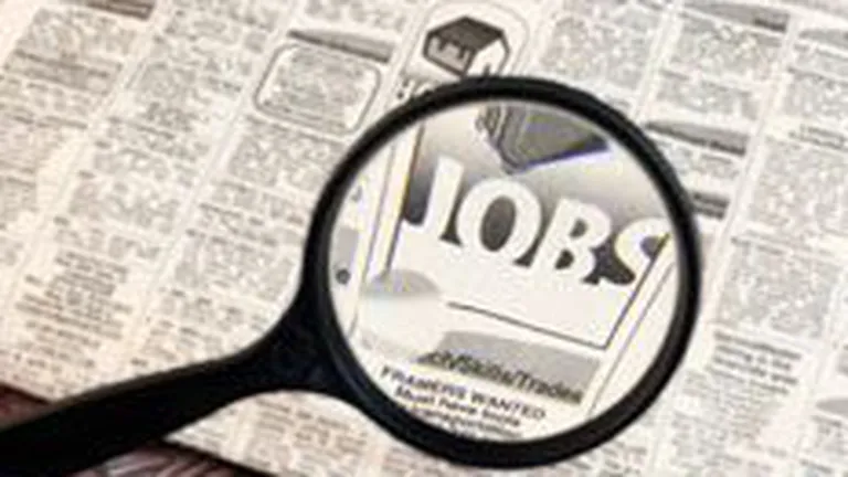 Fusu, Bestjobs: S-a dublat numarul de aplicari la job-uri