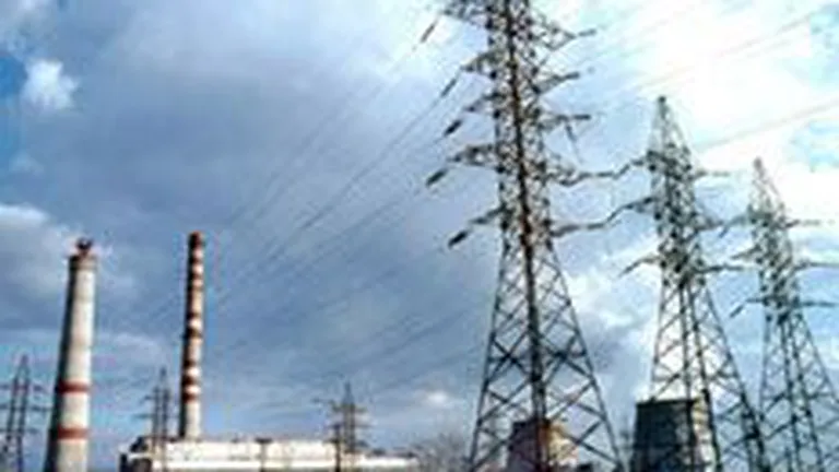 Directorii generali ai Nuclearelectrica si Electrica au fost inlocuiti