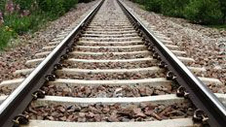 Berceanu: Linia feroviara Gara de Nord - Otopeni va fi inchisa, pentru ca inregistreaza  pierderi