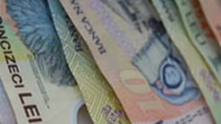 Pogonaru: FMI estimeaza venituri bugetare cu 17 mld. lei mai mici