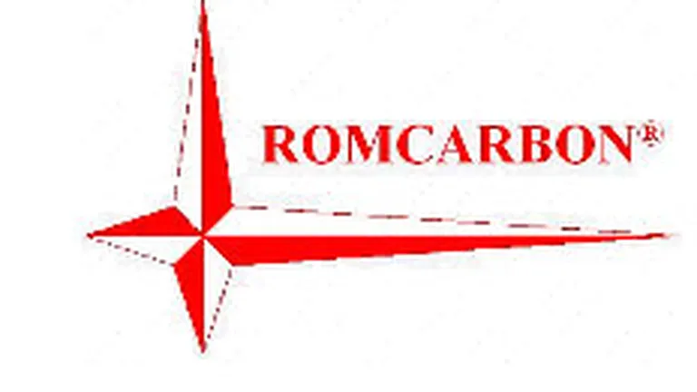Romcarbon Buzau: Profit de aproape 8 ori mai mic in S1