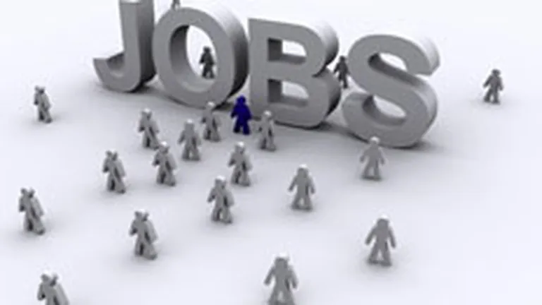 Numarul job-urilor disponibile a crescut la aproape 7.000 in saptamana 21-28 ianurie