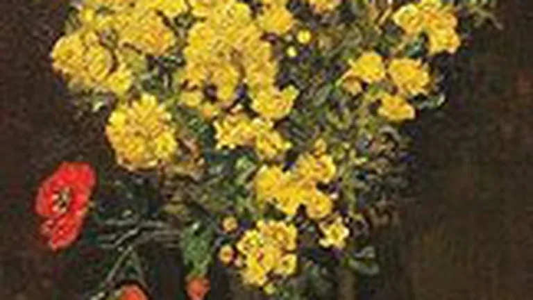 Tablou cu ghinion: Un Van Gogh de 50 mil. euro, furat a doua oara dintr-un muzeu egiptean