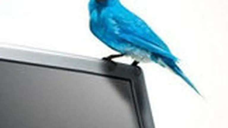 Trei metode de monitorizare pe Twitter care te vor ajuta in campaniile de marketing