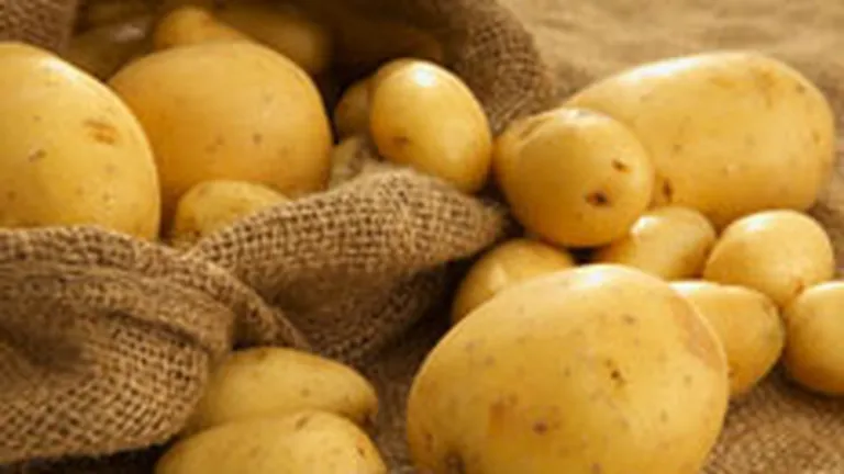 \Mancarea saracului\, cartoful, cea mai mare scumpire in noiembrie