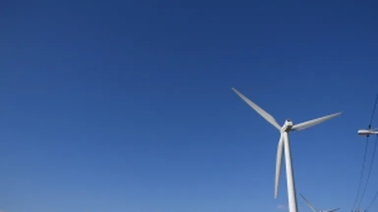 Ce lectii ar putea invata Romania de la marii producatori de energie eoliana