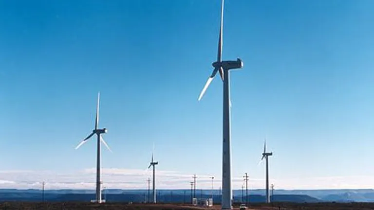 Ce planuri are cel mai mare dezvoltator de parcuri eoliene din Romania