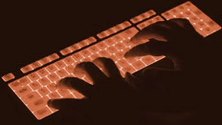 17 hackeri, perchezitionati de DIICOT. Fraudele pe Internet depasesc 6 mil. euro