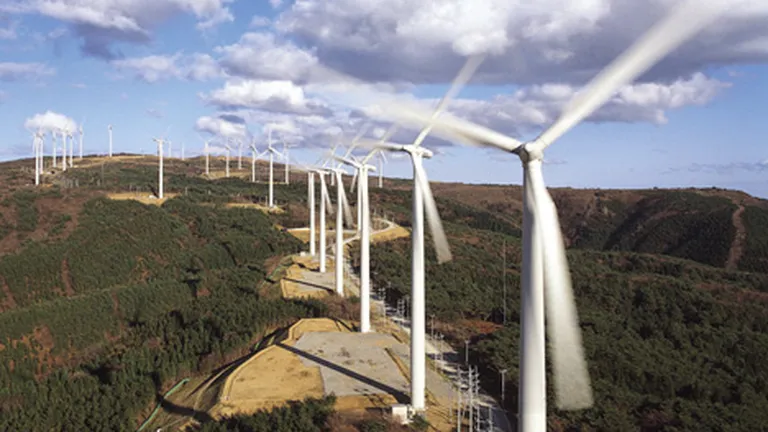 Transelectrica: Sunt prea multi producatori de energie regenerabila