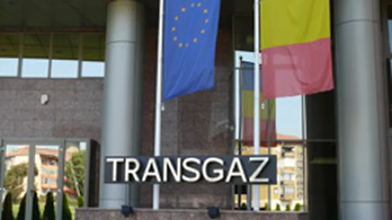 Cat vrea statul sa obtina prin vanzarea a 15% din actiunile Transgaz
