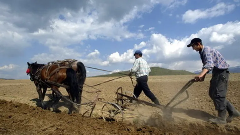 Reincepe colectivizarea: Cati agricultori mai are Romania