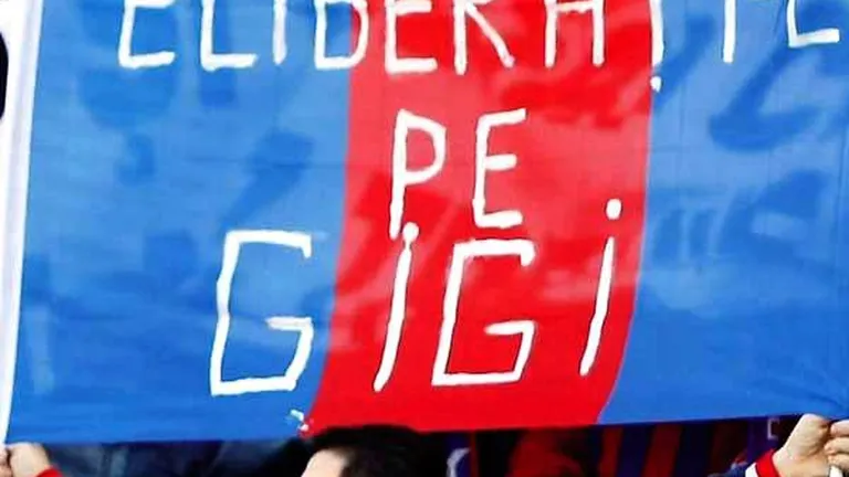 Free Gigi: Cati fani a adunat Becali in social media