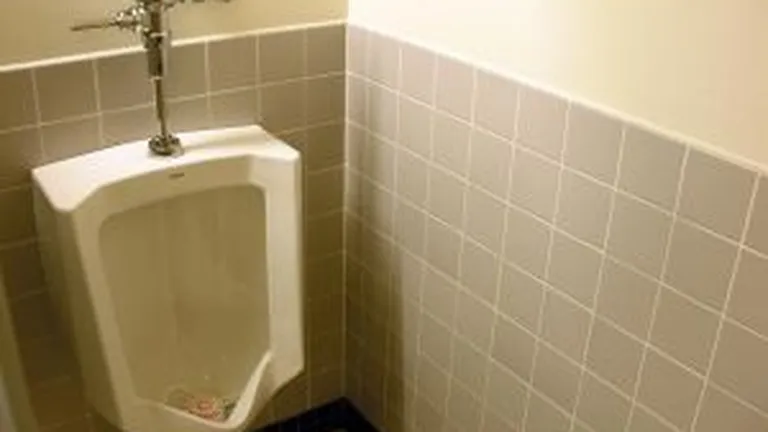 Cat ii costa pe britanici renovarea a doua toalete pentru Camera Lorzilor