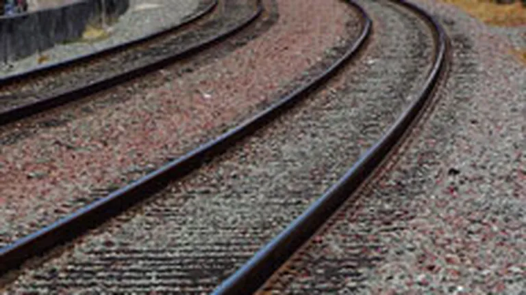 Guvernul bulgar promite sa salveze compania feroviara de stat fara concedieri