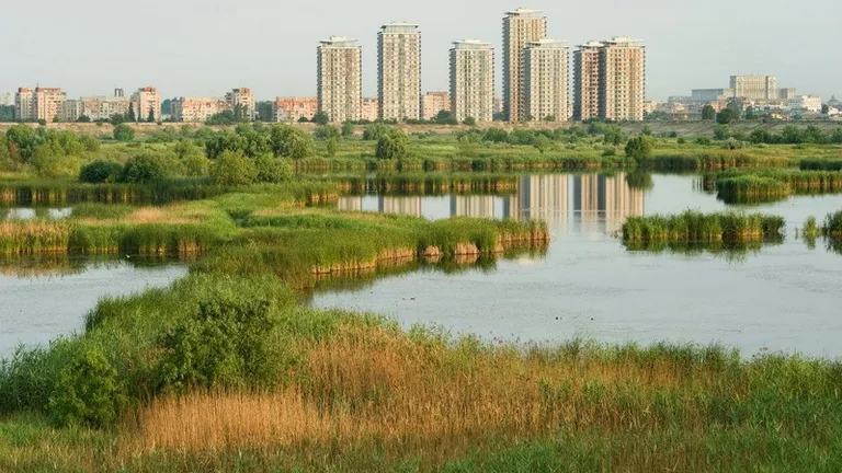 Delta din Bucuresti, in campanie de informare:  “O oaza in desertul de beton”