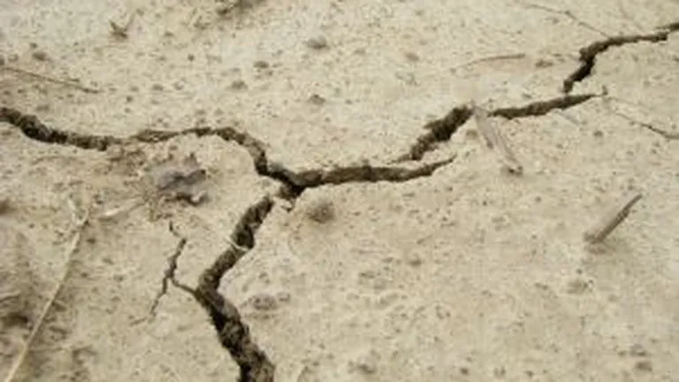 Cauzele cutremurelor din Izvoarele: Primele concluzii