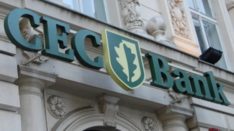 BNR va face control la CEC pentru creditul acordat Ioanei Basescu
