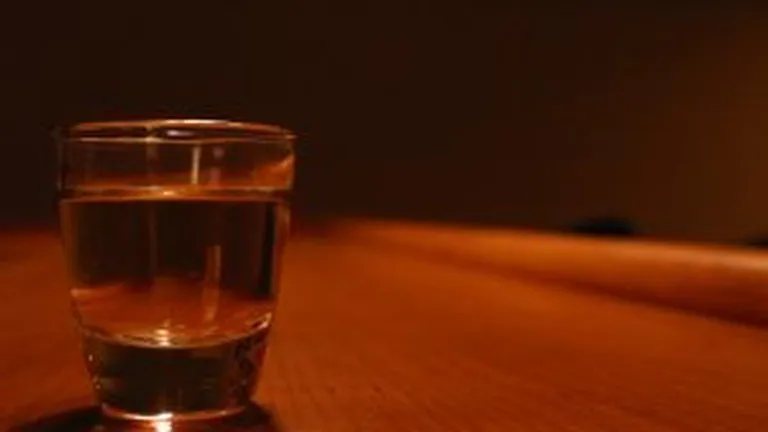 Guvernul majoreaza acciza impusa micilor distilerii de alcool etilic