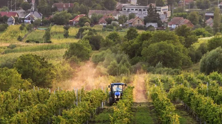 Austriecii de la Amb Wine cresc investitiile in Romania