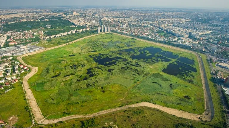 Veste buna pentru bucuresteni: Delta dintre blocuri devine parc natural cu acte in regula (Foto)