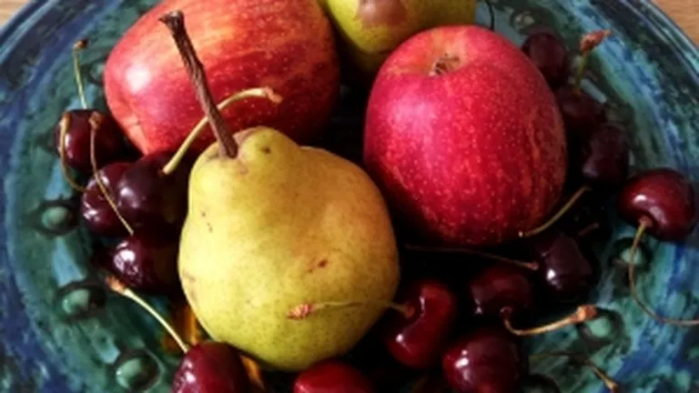 Republica Moldova va solicita OMC sanctiuni impotriva Rusiei pentru embargoul asupra importurilor de fructe