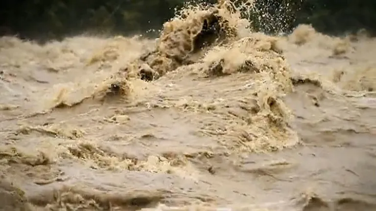 Ancheta in Gorj: Ministrul Mediului vrea sa verifice daca taierile de copaci au provocat inundatiile
