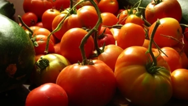 Cum recunosti rosiile modificate genetic de pe piata