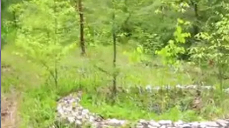 Oras-fantoma in padure, descoperit de un turist (Video)