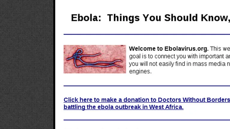 Ebola.com de vanzare. Vezi la ce pret