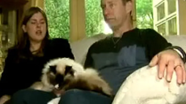 A castigat 120.000 de dolari in plus pentru ca a vandut casa cu tot cu pisica