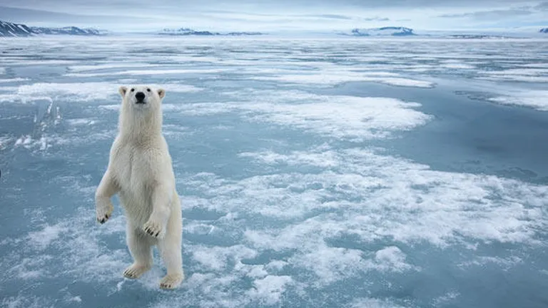 Prima tara din lume care emite pretentii asupra Polului Nord