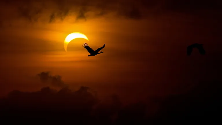 Cele mai spectaculoase fotografii cu eclipsa de soare realizate in Europa