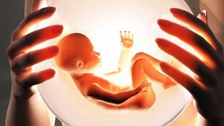Franta: Primii spermatozoizi umani creati in laborator